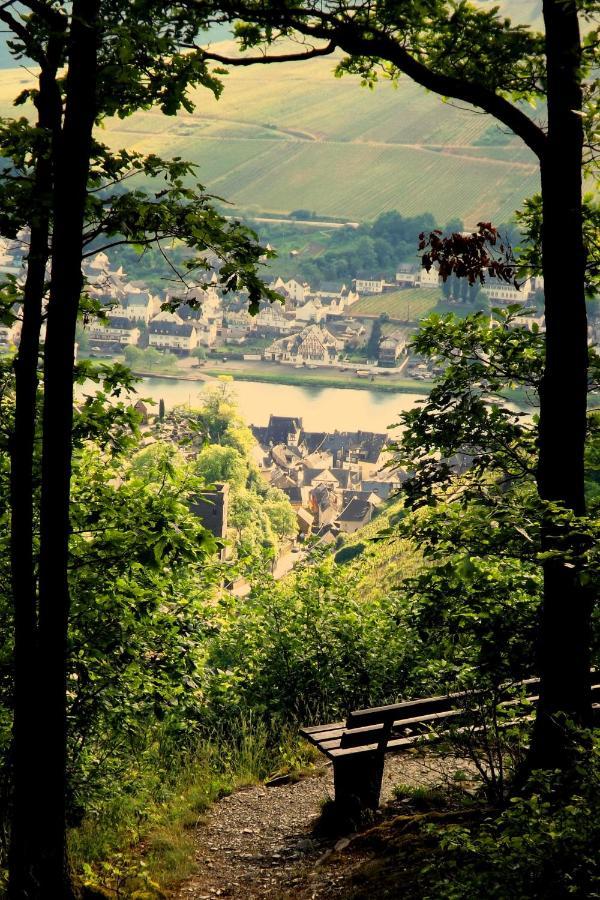 Mosel Panorama Apartment Zell an der Mosel Exterior foto