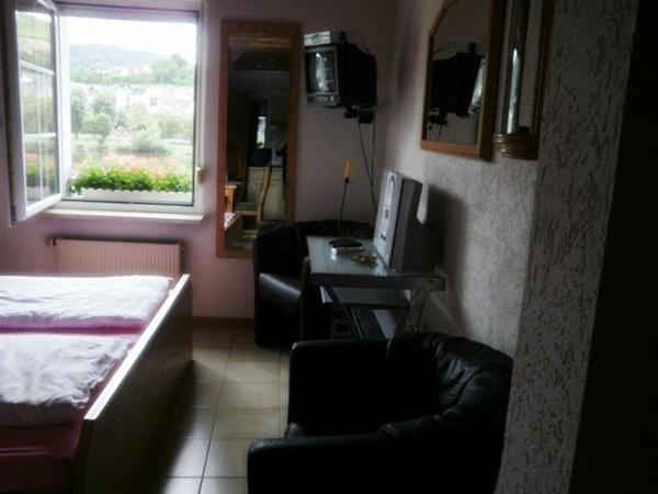 Mosel Panorama Apartment Zell an der Mosel Cameră foto