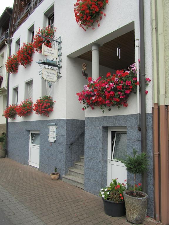 Mosel Panorama Apartment Zell an der Mosel Exterior foto