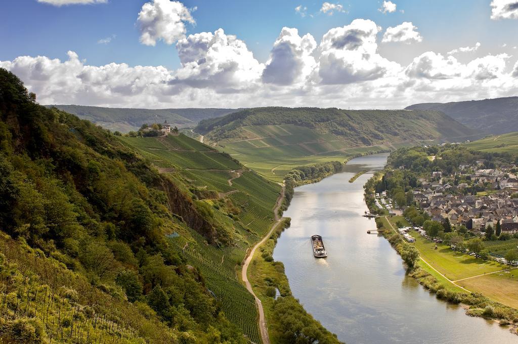 Mosel Panorama Apartment Zell an der Mosel Exterior foto