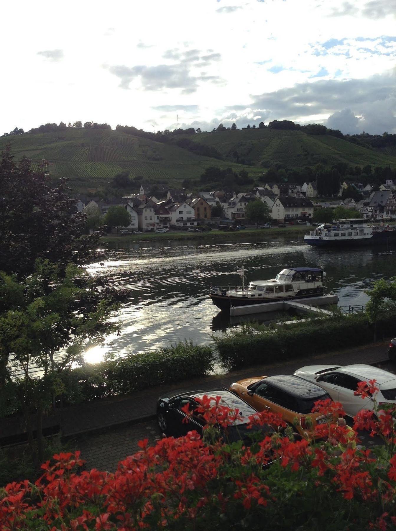 Mosel Panorama Apartment Zell an der Mosel Exterior foto